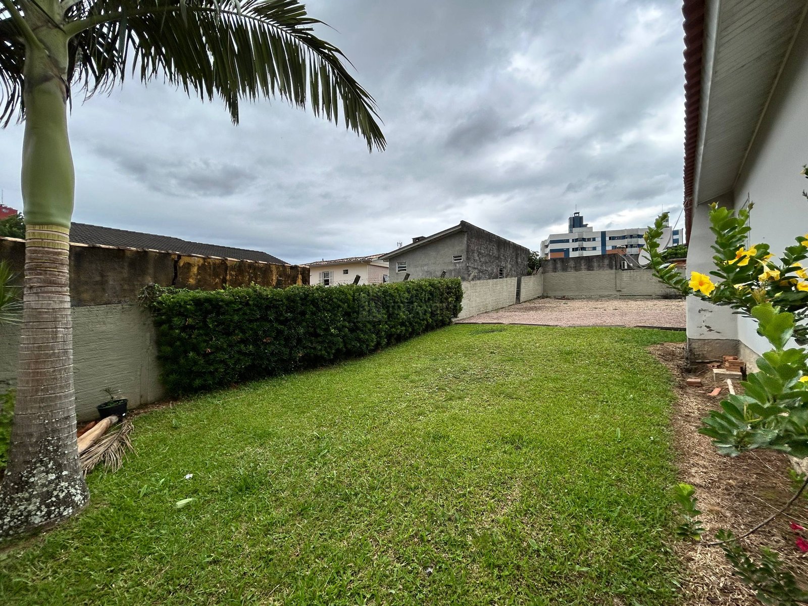 photo_2_2026-02-04_14-20-16