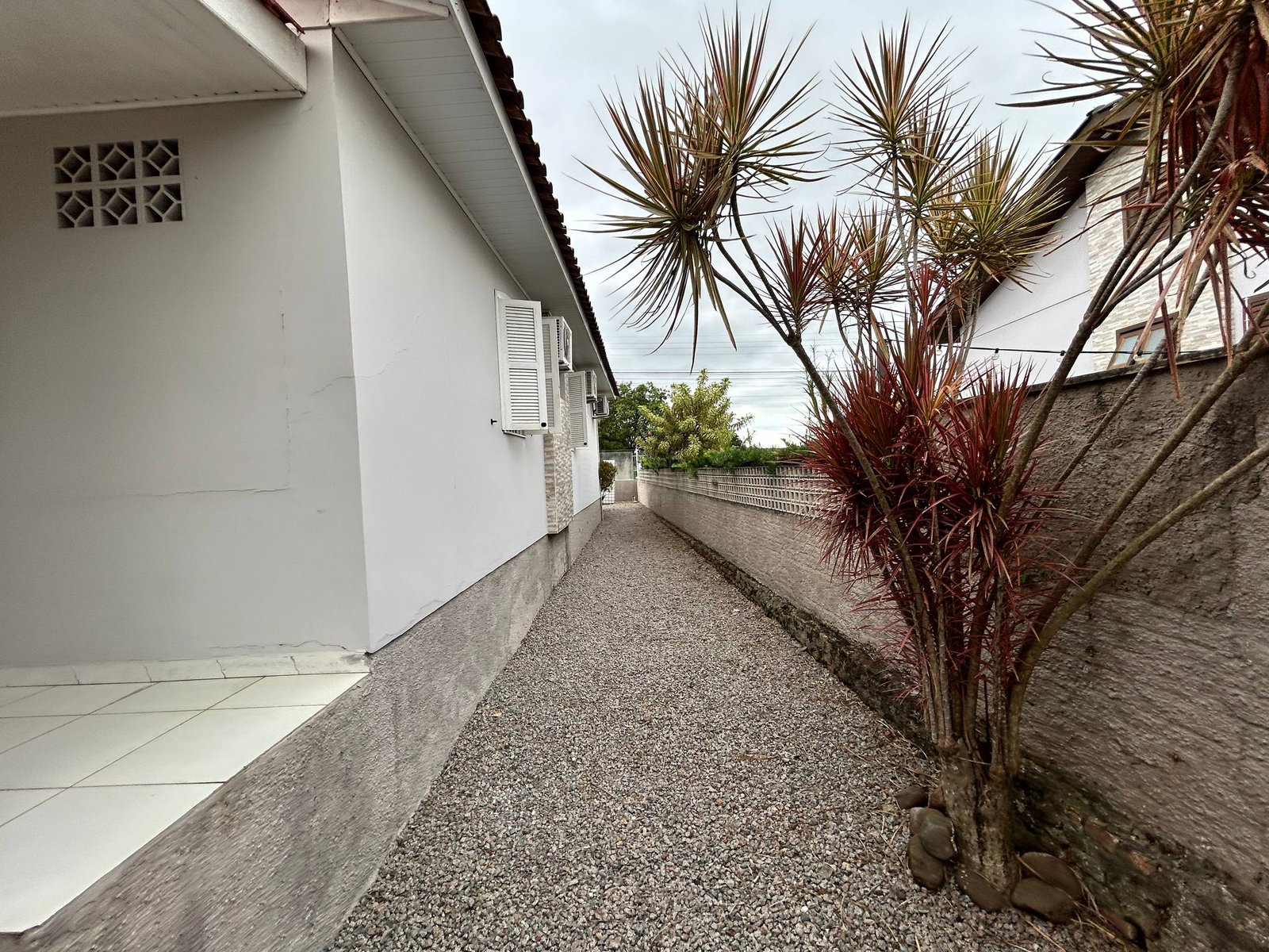 photo_3_2026-02-04_14-20-16