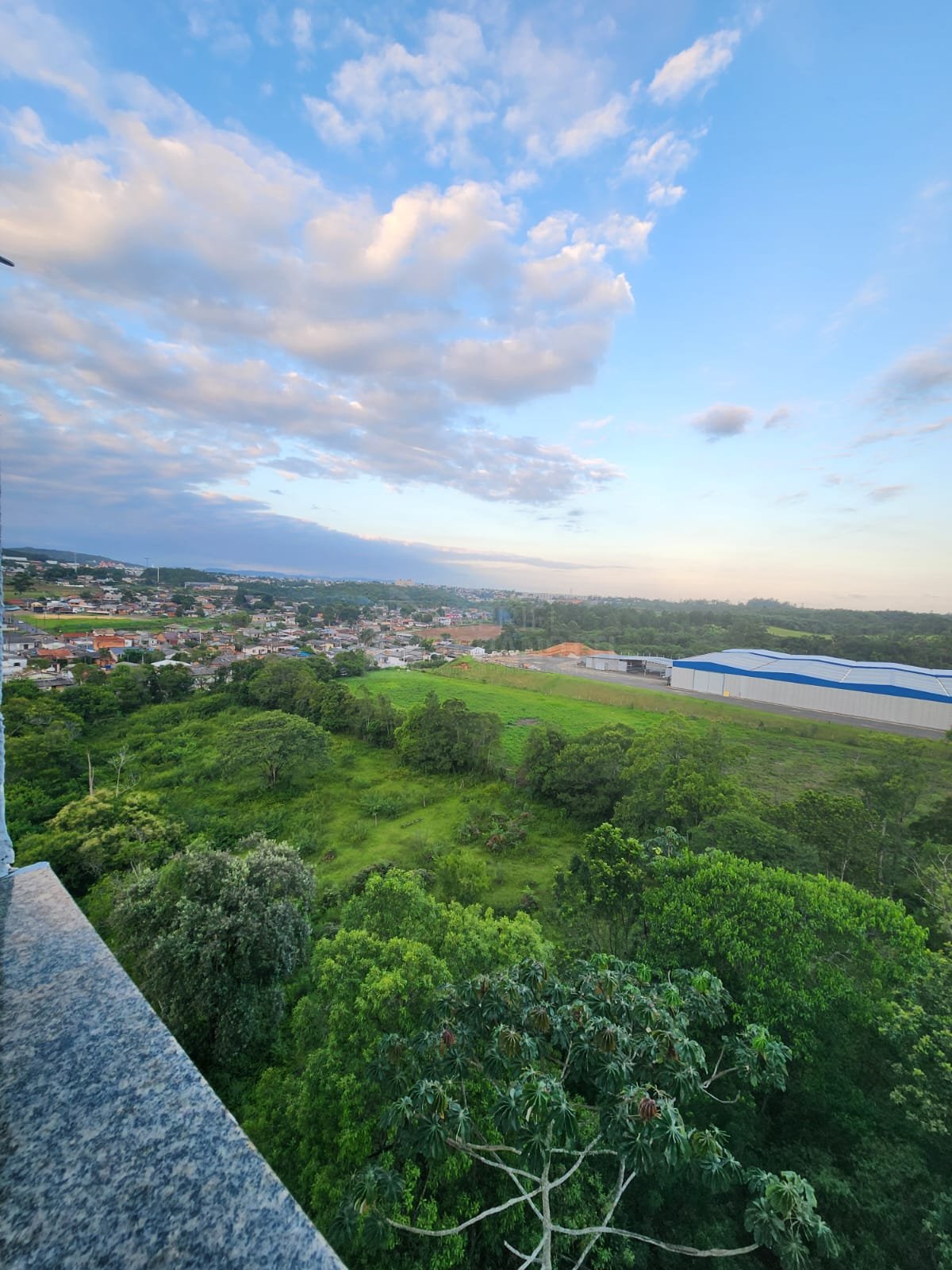 WhatsApp Image 2026-02-15 at 11.18.01